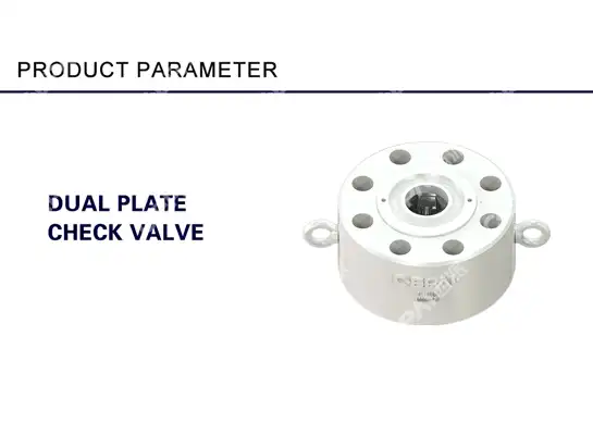 Can a Double Plate Check Valve Be Tested?